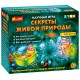 Научная игра - Секреты живой природы