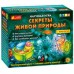 Научная игра - Секреты живой природы