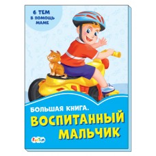 Васильковые книжки (F) - Большая книга. Воспитанный мальчик.