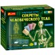 Научная игра - Секреты человеческого тела